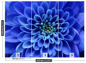 Fotótapéta kék virág 104x70 cm