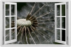 Poszterek 90x60 Pitypang belülről