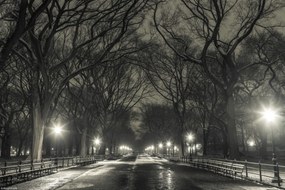 Poszter 30x20cm Éjszakai kilátás a Central Parkon át vezető útra, Assaf Frank