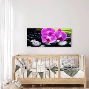 Kép - Orchideák (120x50 cm)