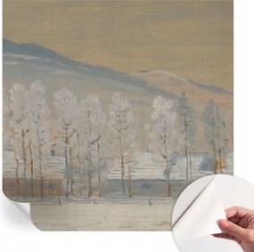 Fotótapéta Öntapadós Dekoratív tapéta Téli táj 250x250 cm