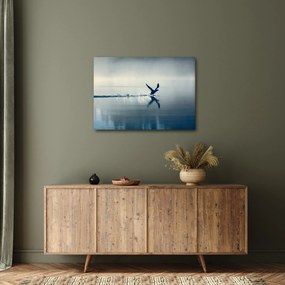 Kép - Búvár (70x50 cm)