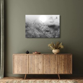 Kép - Őszi rét (90x60 cm)