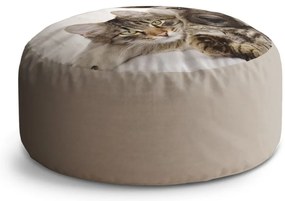 Circle zsámoly cica és kölyökkutya, bézs