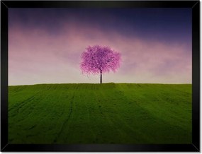 Poszterek keretben 40x30 Malackafa