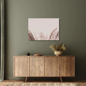 Üveg kép - Szárított fű (70x50 cm)
