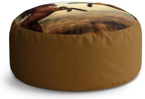 Circle zsámoly ágaskodó lovak, barna