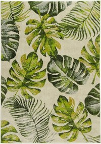 240x330 cm Szőnyeg Levél Monsteray Pálmafák Zöld