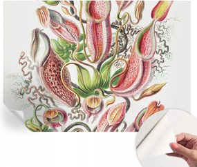 Öntapadós tapéta Divatos 3D fali ragasztó Növényi részletek 312x219 cm