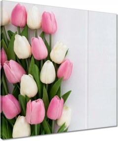 Vászonkép 50x50 Finom tulipánok