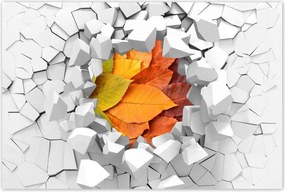 Poszterek 90x60 Őszi színes levelek Levelek az ősz színeiben