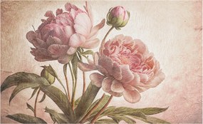 Fali fotótapéta előszoba konyhába Finom bazsarózsa 416x254 ragasztó