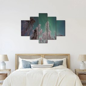 Az aurora borealis képe fagyos fák felett (150x105 cm)