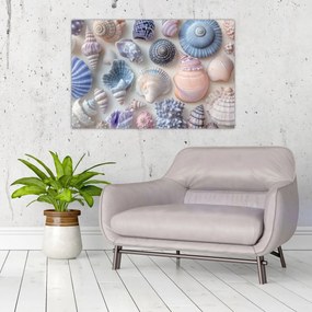Kép - Kagylógyűjtemény (90x60 cm)