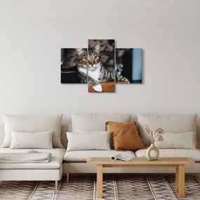 Macska képe (90x60 cm)