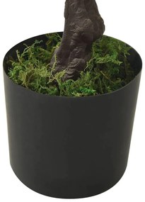 zöld cserepes mű fenyőbonsai 60 cm