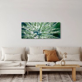 Kép - Makro kép egy virágról (120x50 cm)