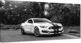Vászonkép 60x30 Sportos Ford Mustang