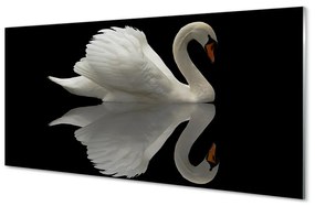 Üvegképek Swan az éjszaka 120x60cm