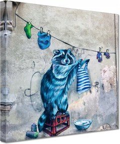 Vászonkép 20x20 Mosómedve mosómedve graffiti csíkok