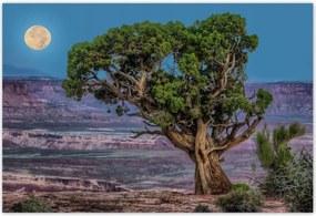 Poszterek 155x105 Kilátás Tájkép