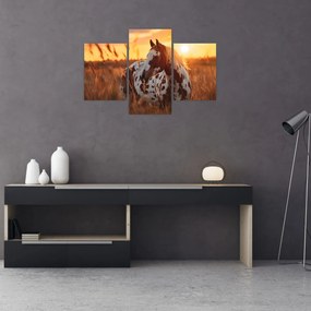 Kép - Ló naplementében (90x60 cm)