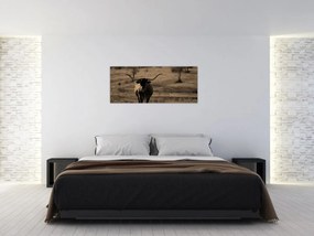 Kép - Texasi tehén (120x50 cm)