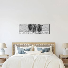 Kép - Skót tehenek, fekete-fehér (órával) (90x30 cm)