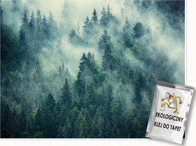 Fotótapéta Erdő A Ködben Zöld A Nappali Hálószobájába Fali Tapéta 300x210