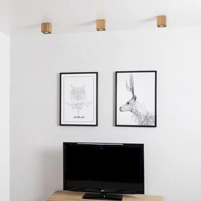 Spot-Light 2076174 - WOODDREAM mennyezeti lámpa 1xGU10/6W/230V