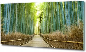 Fénykép üvegfestmény Vízesés ősszel 125x50