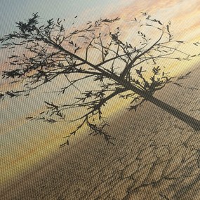 Kép - fa a sivatagban (120x50 cm)