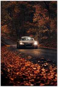 Poszterek 60x90 Audi Őszi tájkép