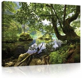 Vászonkép, Erdei patak, 100x75 cm méretben