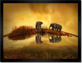 Poszterek keretben 40x30 Elefántok a vízparton