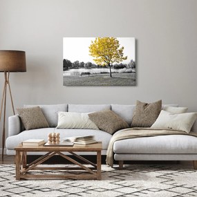 Kép - Pihenés a parkban (90x60 cm)
