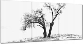 Vászonkép 180x90 Magányos fa