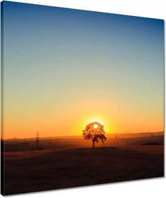 Vászonkép 50x50 Kilátás Tájkép