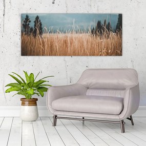 Kép - réti növényzet részlete (120x50 cm)