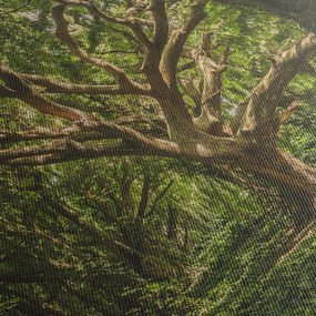 Fa képe (120x50 cm)