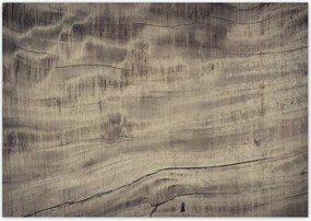 Poszterek 100x70 Fa erezet Fa