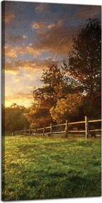 Vászonkép Nap Tájkép Falusi fák Rét 40x80 cm