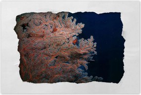 Poszterek 90x60 Kék óceån zåtonyokkal