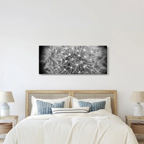 Szürke pitypang képe (120x50 cm)