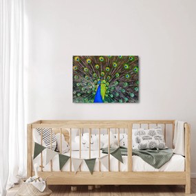 Kép - Páva (70x50 cm)
