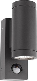 Redo 9453-LED Kültéri fali lámpatest mozgásérzékelővel VINCE 2xLED/3W/230V IP54 antracit