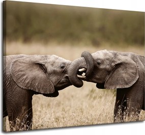 Vászonkép Elefántok találkozása Afrika Természet 100x80 cm Ideális ajándék