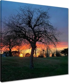 Vászonkép 50x50 Naplemente