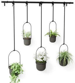 Műanyag kaspó szett 5 db-os fűszernövényekhez -függő ø 7,5 cm Triflora – Umbra