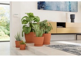 Terrakotta cserépalátét ø 36 cm – Artevasi